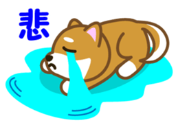 Taro Shiba Inu Part2 sticker #5526271
