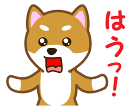 Taro Shiba Inu Part2 sticker #5526275