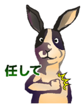 Animal field sticker #5526770