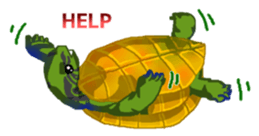 Animal field sticker #5526773