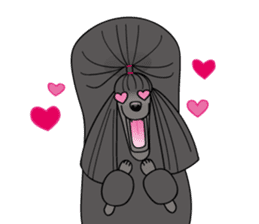 show-style toy poodles sticker #5527479