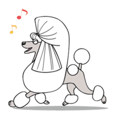 show-style toy poodles sticker #5527480
