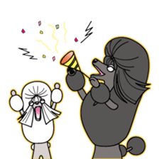 show-style toy poodles sticker #5527483