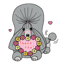 show-style toy poodles sticker #5527486