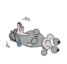 show-style toy poodles sticker #5527487