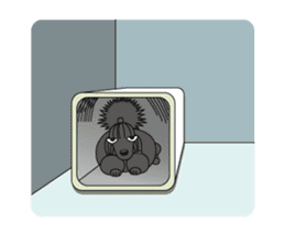 show-style toy poodles sticker #5527495