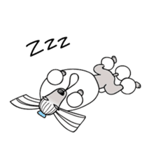 show-style toy poodles sticker #5527496