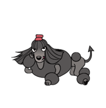 show-style toy poodles sticker #5527498