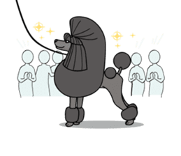 show-style toy poodles sticker #5527500