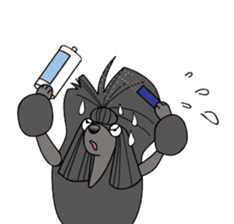 show-style toy poodles sticker #5527503