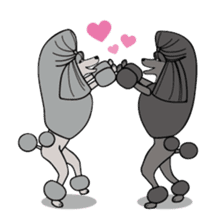 show-style toy poodles sticker #5527504