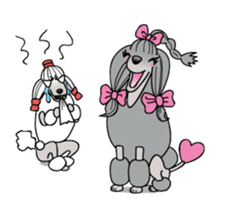 show-style toy poodles sticker #5527510