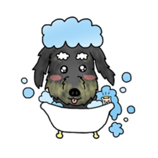 Chocotan & Daifuku sticker #5527982