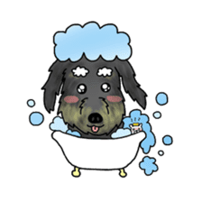 Chocotan & Daifuku sticker #5527982