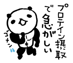 panda2- Muscle MUKIMUKI - sticker #5528024