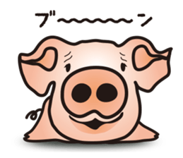 A little realistic pig sticker #5530600