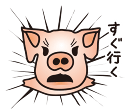 A little realistic pig sticker #5530618