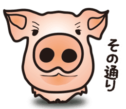 A little realistic pig sticker #5530622