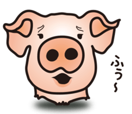 A little realistic pig sticker #5530623