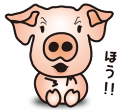 A little realistic pig sticker #5530626