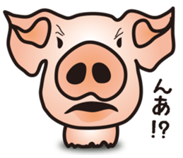 A little realistic pig sticker #5530634