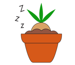 Mandragora Forest sticker #5531284