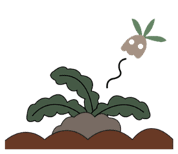 Mandragora Forest sticker #5531307