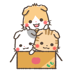 mild-Scottishfold Vol.2