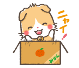 mild-Scottishfold Vol.2 sticker #5531864