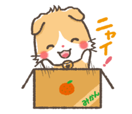 mild-Scottishfold Vol.2 sticker #5531864