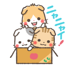 mild-Scottishfold Vol.2 sticker #5531867