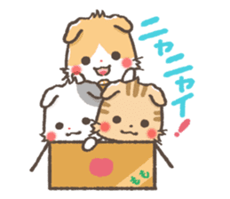 mild-Scottishfold Vol.2 sticker #5531867