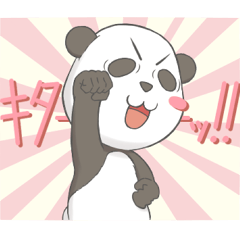 Panda Communication (ver.Otaku)