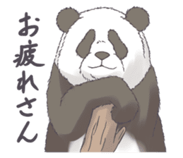 Panda Communication (ver.Otaku) sticker #5532244