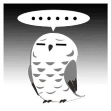 Owl Kingdom sticker #5534308