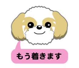Shih Tzu Daily sticker #5534640