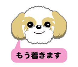 Shih Tzu Daily sticker #5534640
