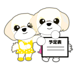 Shih Tzu Daily sticker #5534651