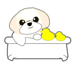 Shih Tzu Daily sticker #5534653