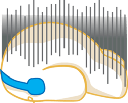 Music Bear sticker #5536234