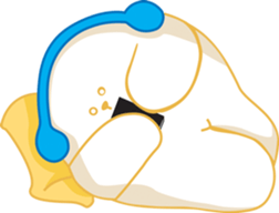 Music Bear sticker #5536252