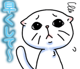 Fat Scottish Fold 3 sticker #5536505