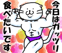 Fat Scottish Fold 3 sticker #5536513