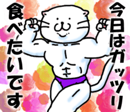 Fat Scottish Fold 3 sticker #5536513