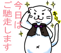 Fat Scottish Fold 3 sticker #5536515