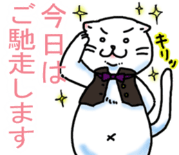 Fat Scottish Fold 3 sticker #5536515
