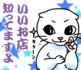 Fat Scottish Fold 3 sticker #5536517