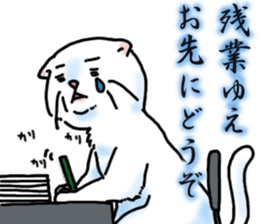 Fat Scottish Fold 3 sticker #5536521