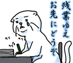 Fat Scottish Fold 3 sticker #5536521