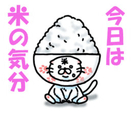 Fat Scottish Fold 3 sticker #5536533